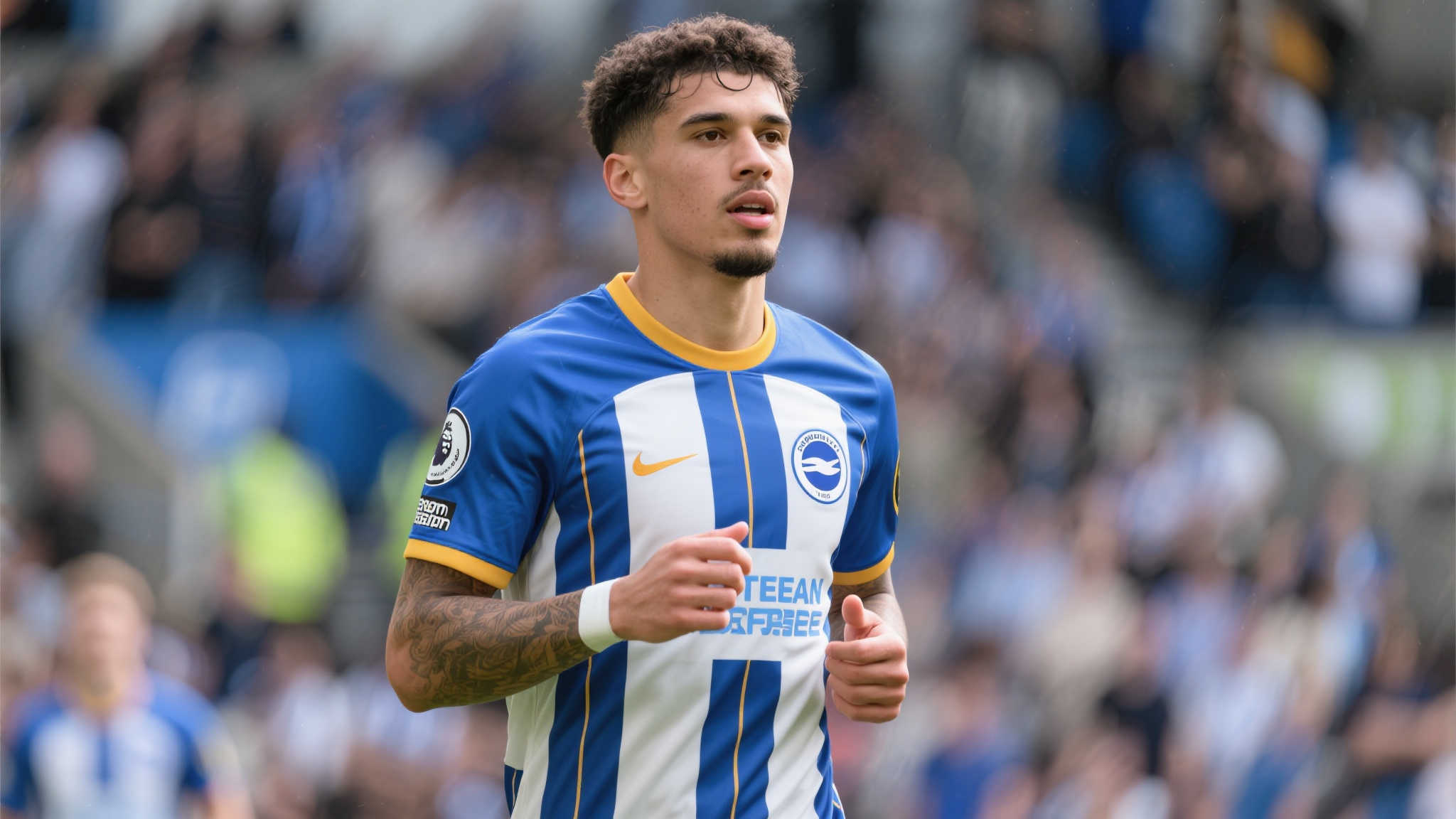 熊猫体育概况简介